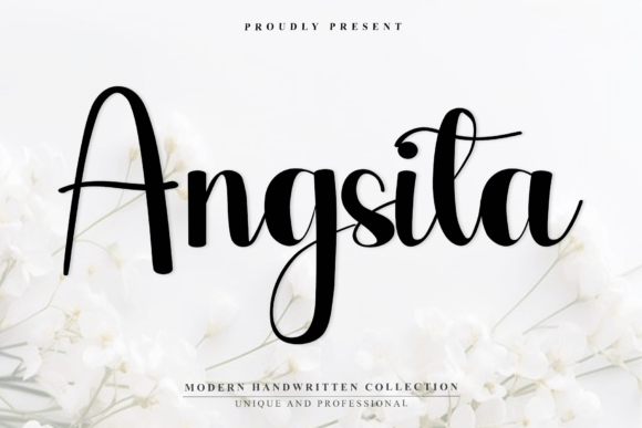 Angsita: A Modern Script Font for Web Design