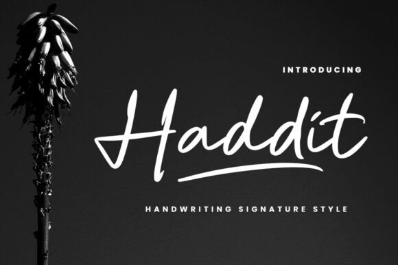 Haddit: Elegant Script Font for Web Design