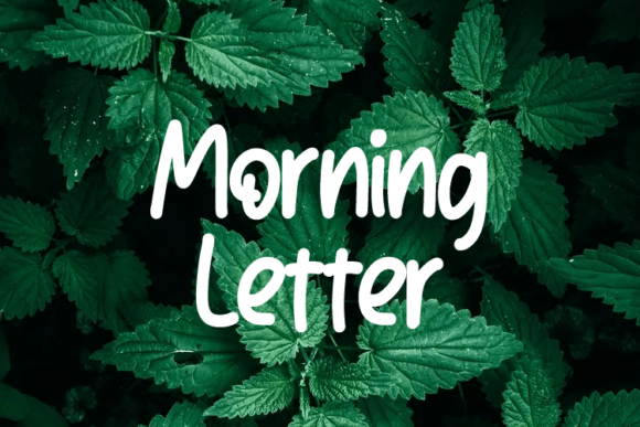 Morning Letter: A Cheerful Script Font for Web Design